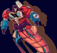 Perceptor -Merformer