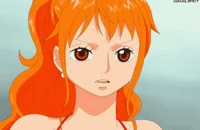 timeskip Nami