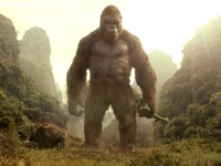 Kong