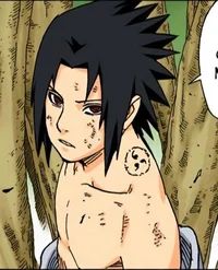 Sasuke Uchiha 