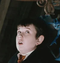 Neville Longbottom
