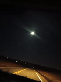 Night world