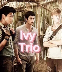 Maze runner
