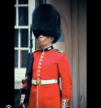British Guardian