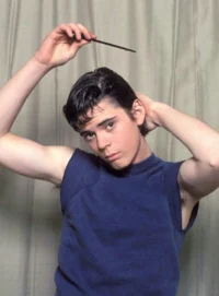 Ponyboy Curtis 