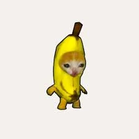 Banana Cat 