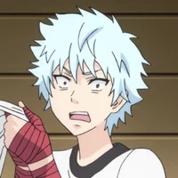 Shun Kaidou