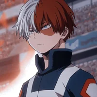 Todoroki Shoto 