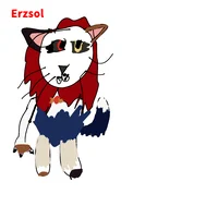 Erzsol 
