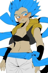 Fem Gogeta