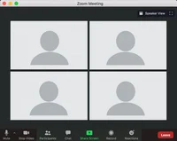 Zoom call