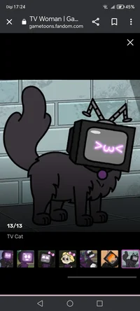 Tv Cat TF TG 