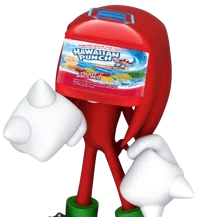 Knuckles the Punch