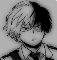 Shoto todoroki 