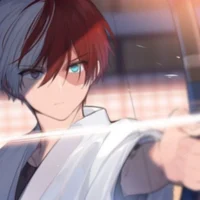 Shoto Todoroki