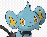 Shinx