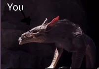 Dont provoke a beast