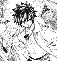 Gray Fullbuster