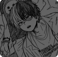 Shoto todoroki 
