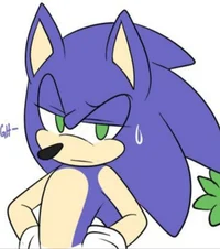 Sonic hermano celoso