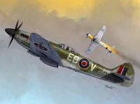 Spitfire Mk XIV