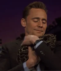 tom hiddleston