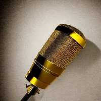 Golden Microphone RP