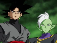 Zamasu n Goku Black