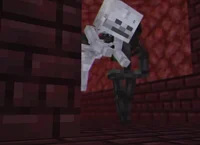 Wither x skeleton