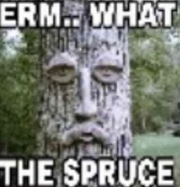 Spruce