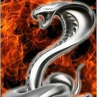 JakeTheSnake9467
