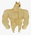 Buff-Doge