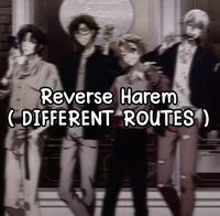 Reverse Harem