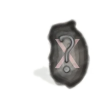 Not So Secret Chomik