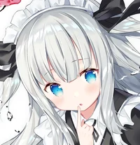 The Mysterious Waifu