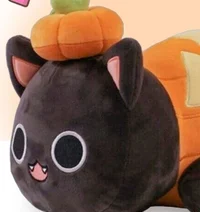 Pumpkin Cat