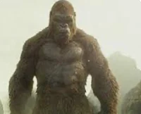 King kong