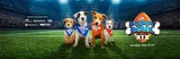 Puppy bowl sim 
