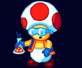 Scientist toad