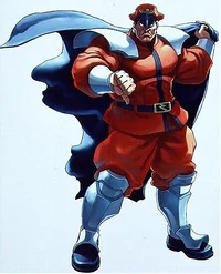 M Bison