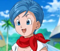 Bulma Briefs