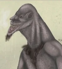 Post Hunan h-gravity