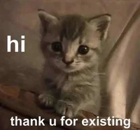 Support Catto