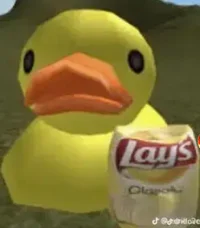 duck