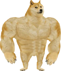 Strong Doge