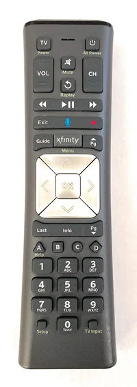 X1 voice remote 