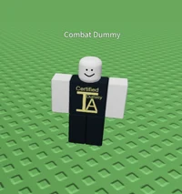 Combat Dummy