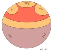 Debbie Turnbull infl