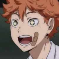 Shoyo Hinata