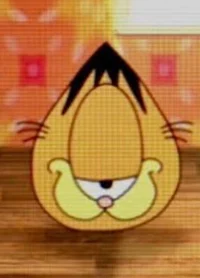 My wonderful Garfied